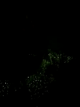 Snapshot of Priyakoli4568 chatting on May 6, 5:29 pm Priyakoli4568 online show from May 6, 5:29 pm