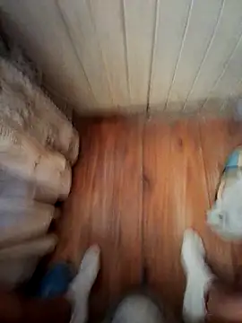 Snapshot of Franco10_- chatting on February 15, 9:11 pm Franco10 - online show from February 15, 9:11 pm