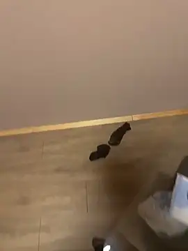 kin-y7 online show from February 7, 3:43 am