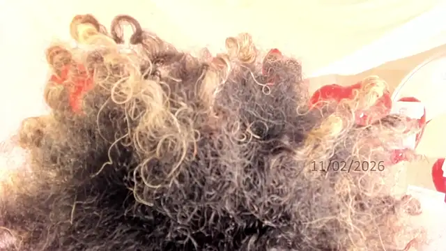 Snapshot of Brit_weston chatting on February 11, 9:42 pm Brit weston online show from February 11, 9:42 pm