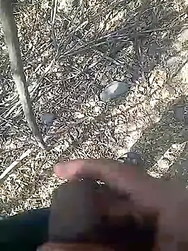 Cute Boy 4 online show from February 23, 8:01 am