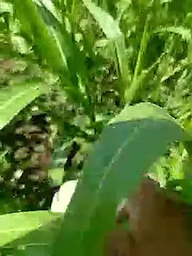 Snapshot of Cute_Boy_4 chatting on April 23, 5:19 am Cute Boy 4 online show from April 23, 5:19 am