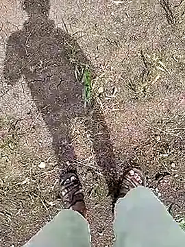 Snapshot of Cute_Boy_4 chatting on June 5, 4:41 am Cute Boy 4 online show from June 5, 4:41 am