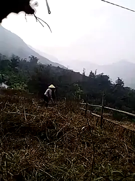 Tina-beo online show from March 27, 9:42 am