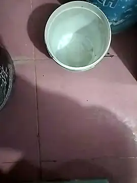 janu 9900 online show from February 13, 1:40 pm