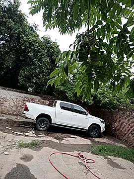 leo85rf online show from February 5, 7:18 pm