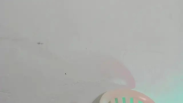 Snapshot of Emely_pregnantt chatting on February 13, 4:03 pm Emely pregnantt online show from February 13, 4:03 pm