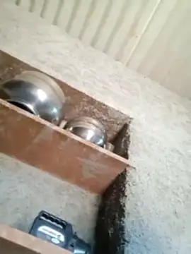 Lucky couple-1 online show from February 14, 8:55 am