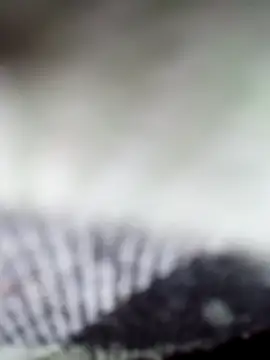 Sexy-Sony770 online show from February 7, 9:07 pm