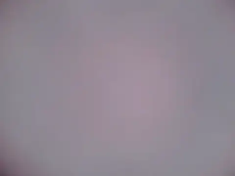 Snapshot of Luanatrav1 chatting on February 21, 7:31 am Luanatrav1 online show from February 21, 7:31 am