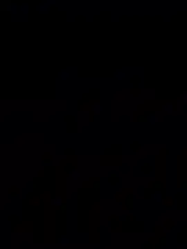 bigbooietx online show from March 11, 2:50 am