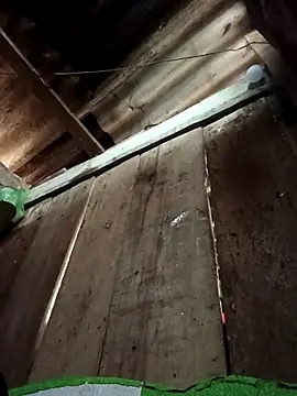 Snapshot of Small_flower1 chatting on February 10, 2:04 am Small flower1 online show from February 10, 2:04 am