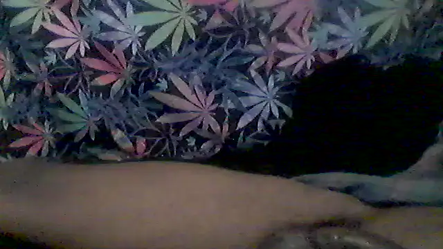Snapshot of libraxxxstudios chatting on June 9, 4:57 am libraxxxstudios online show from June 9, 4:57 am