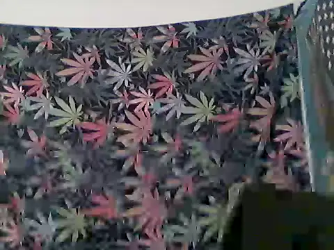 Snapshot of libraxxxstudios chatting on June 12, 12:37 pm libraxxxstudios online show from June 12, 12:37 pm