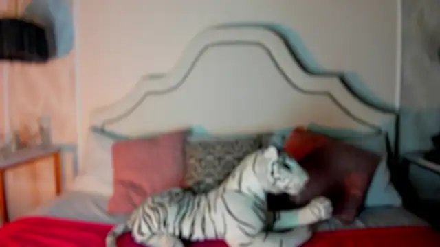 Snapshot of niicole_garner chatting on February 11, 4:34 pm niicole garner online show from February 11, 4:34 pm