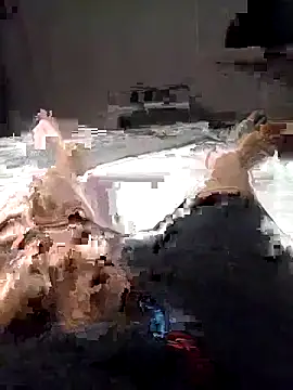 Snapshot of Al-Hari chatting on February 4, 4:13 pm Al-Hari online show from February 4, 4:13 pm