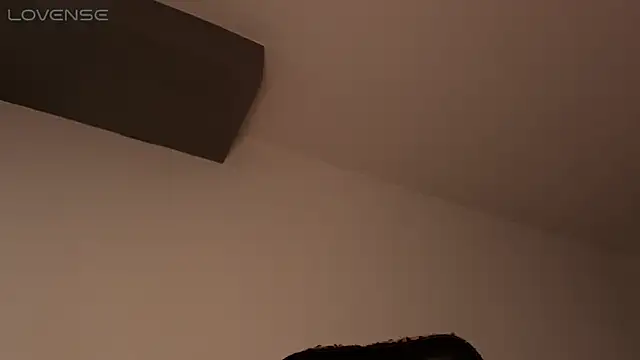 BjornSteel online show from February 27, 6:13 am