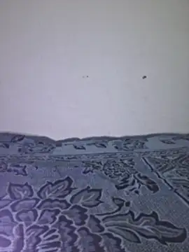 Sakeemaxxy online show from April 13, 9:09 pm