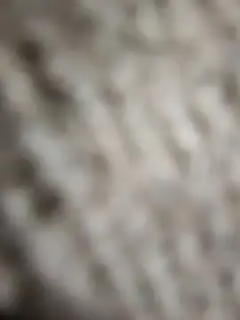 Snapshot of Flexxxo09 chatting on February 4, 2:01 pm Flexxxo09 online show from February 4, 2:01 pm