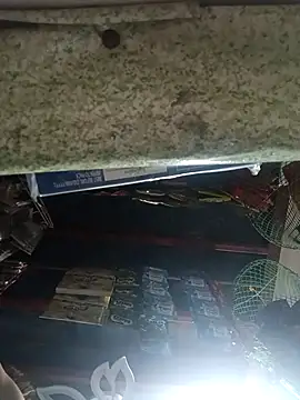 Wildcam21 online show from March 17, 5:44 am