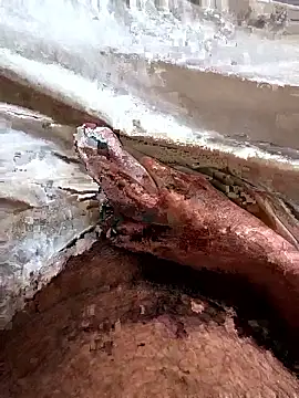 manish 8826 online show from April 6, 1:36 am