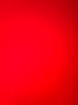 DocCock021 online show from February 18, 9:44 pm