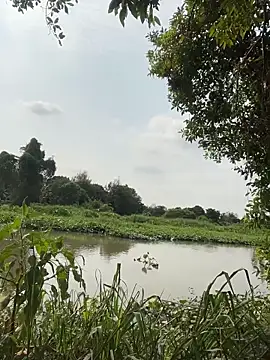 Lewd couple online show from April 20, 2:14 am