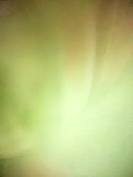 BIG QWEEN NO1 online show from February 20, 6:37 am