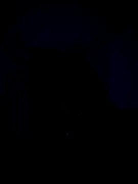 Snapshot of Telugucouple69 chatting on February 15, 10:17 pm Telugucouple69 online show from February 15, 10:17 pm