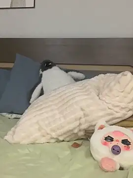 Rin-yiyi online show from March 8, 2:21 pm