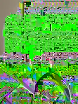 Snapshot of pussyeater_- chatting on August 7, 6:37 am pussyeater - online show from August 7, 6:37 am