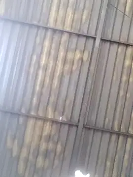 Linka998 online show from March 27, 4:40 am