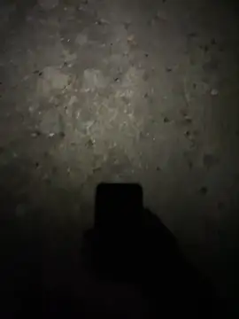 stallone italiano 62 online show from February 17, 11:22 pm