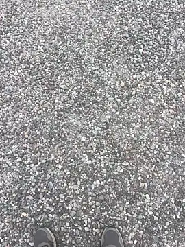 stallone italiano 62 online show from April 12, 6:18 am