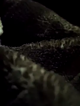 Snapshot of aryanvfit chatting on February 9, 6:01 pm aryanvfit online show from February 9, 6:01 pm