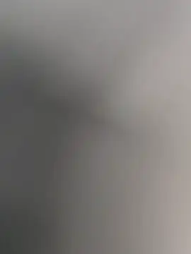 anitamadrid online show from February 15, 2:36 pm