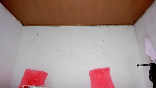 karol kane online show from February 13, 3:19 pm