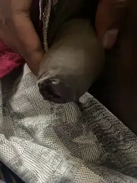 Magic Spell Tamil online show from February 20, 3:34 pm