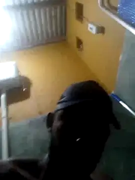 Deniodamasio online show from March 1, 9:06 pm