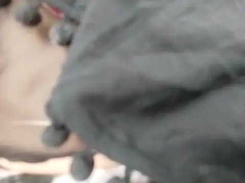 VeraVS online show from February 20, 9:21 am