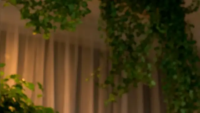 Snapshot of TheMaddisonShow_ chatting on March 4, 3:56 am TheMaddisonShow online show from March 4, 3:56 am