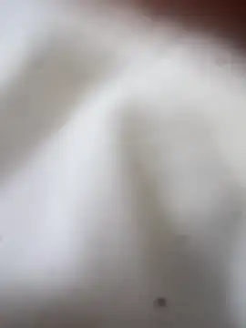 Snapshot of Jaybraconect chatting on February 21, 5:08 am Jaybraconect online show from February 21, 5:08 am