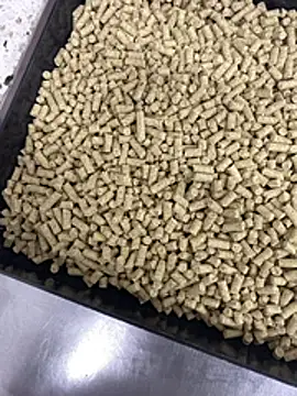 Snapshot of Elmanc chatting on February 26, 8:19 pm Elmanc online show from February 26, 8:19 pm