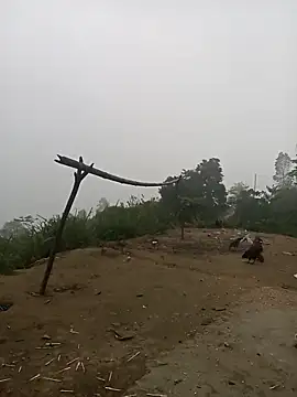 Nth5h online show from March 30, 10:55 pm