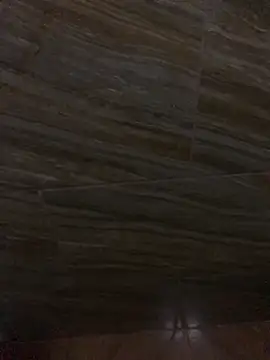 King cotize online show from February 26, 6:01 am