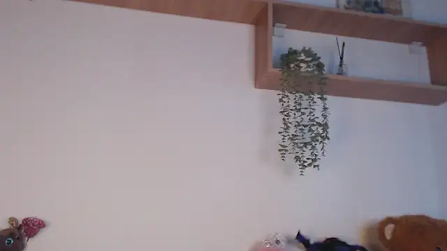 SPICYKC online show from April 7, 3:01 pm