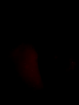 Snapshot of juanjonac chatting on May 18, 2:29 am juanjonac online show from May 18, 2:29 am