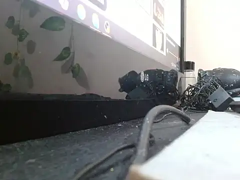 Snapshot of powderblu69 chatting on May 6, 6:57 pm powderblu69 online show from May 6, 6:57 pm