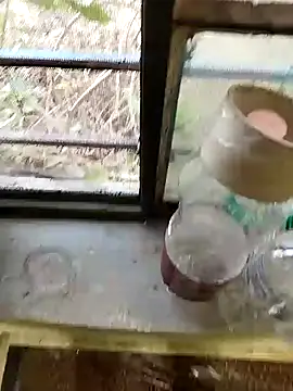 blackbeauty321 online show from February 26, 11:20 am