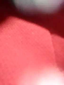 jackkk0011 online show from February 26, 12:48 pm